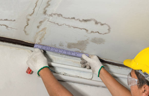 Reliable Mold Remediation contractor in Weld, ME by Water Damage Irwin